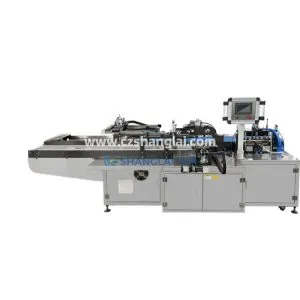 Automatic Vacuum Bagging & Sealing Machine for Solid Products